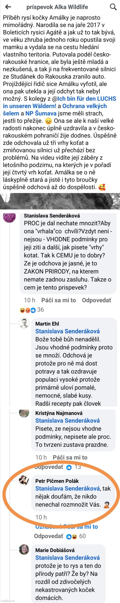 Z luhov a hájov
